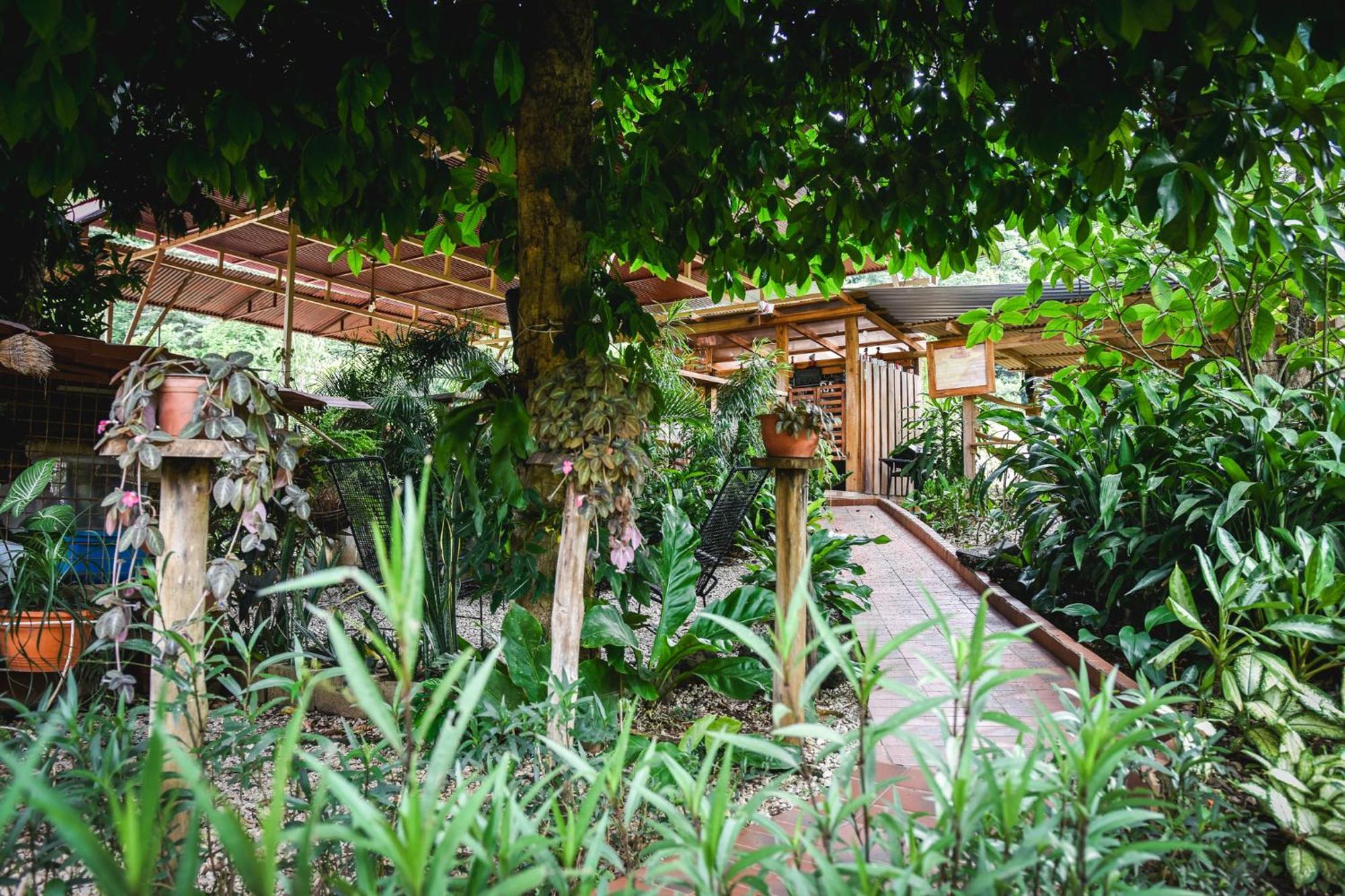 Carmona Casa Cora Bed And Breakfast מראה חיצוני תמונה